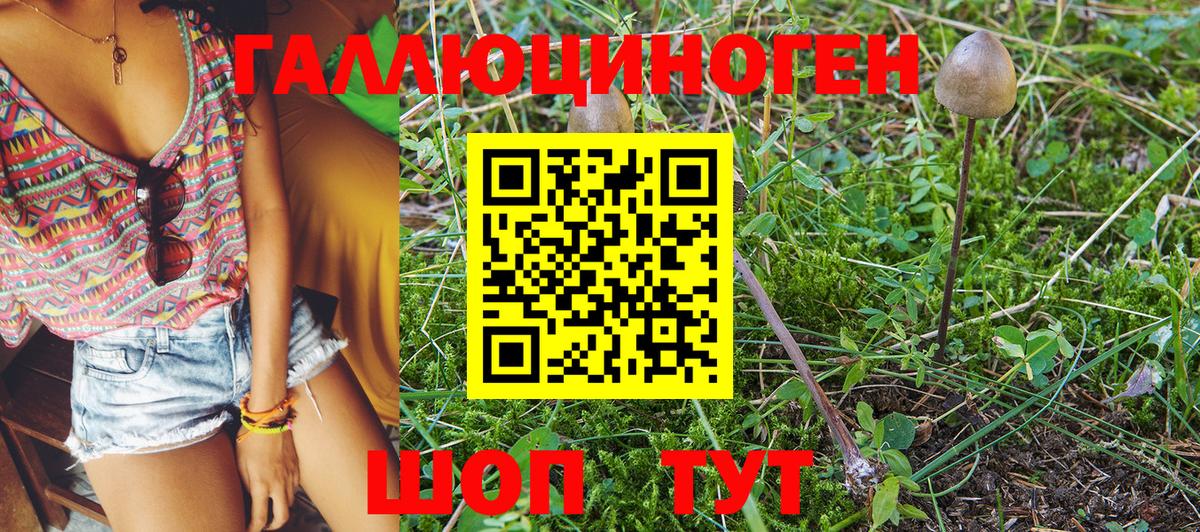 Обнинск  Галлюциногенные грибы ЛСД  Псилоцибиновые грибы Magic Shrooms  Вход с VPN 